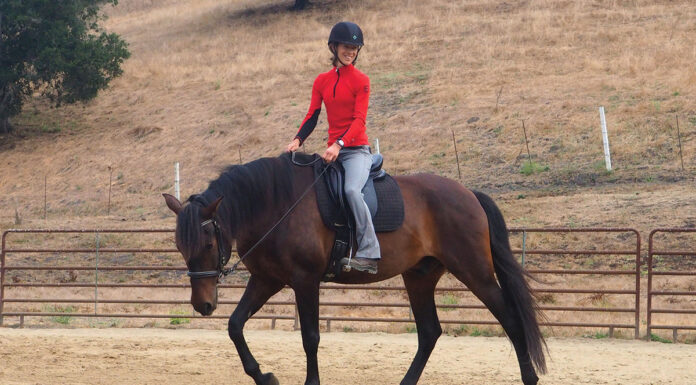 A girl rides her horse, showing the benefits of walking her horse under saddle