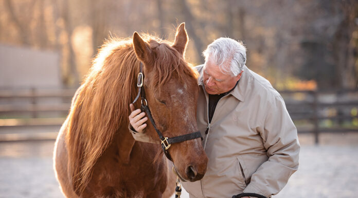 An older man hugs a rescue horse