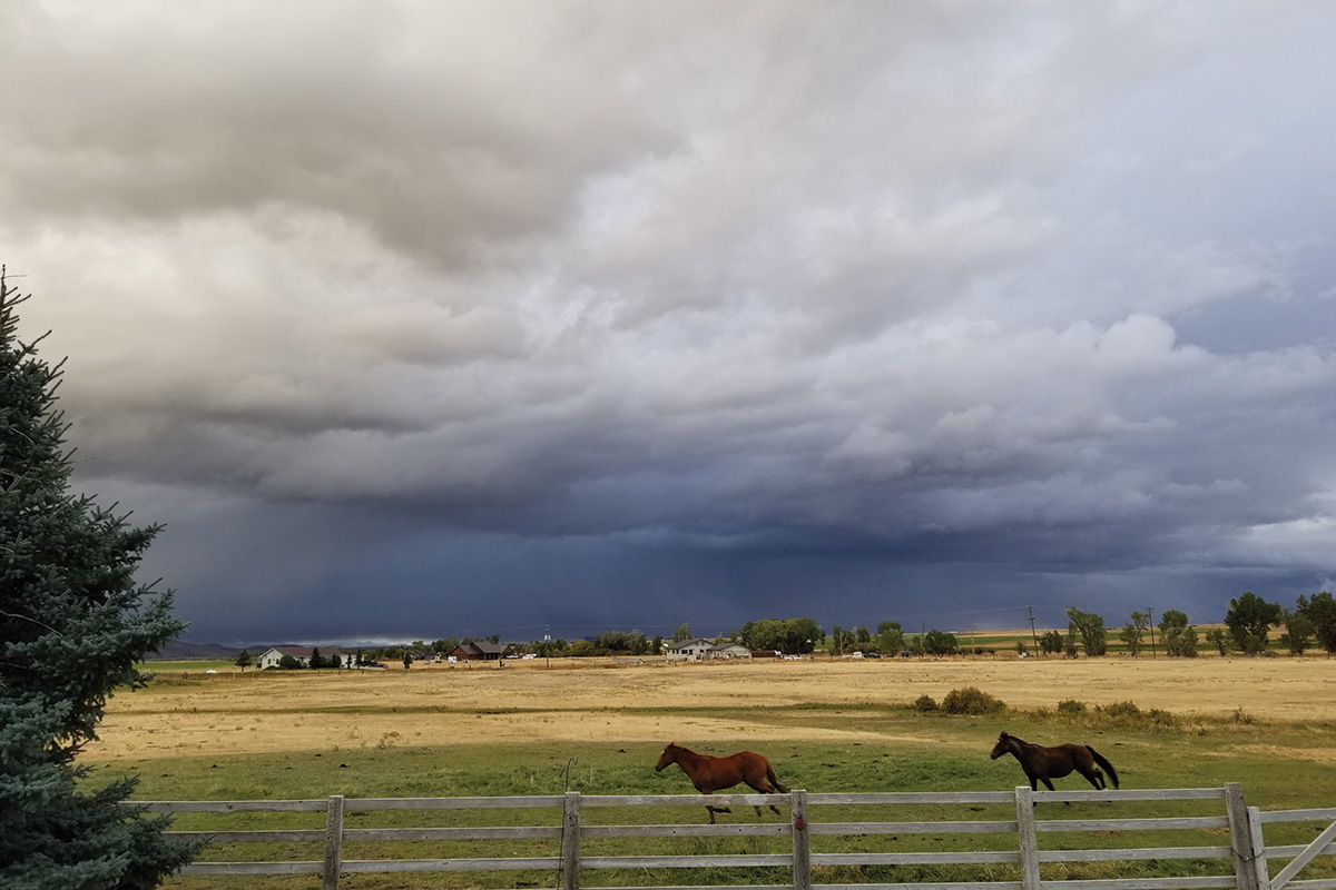 Horses running in a storm