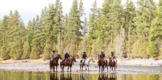 Riders on horses for a trail riding vacation in Montana