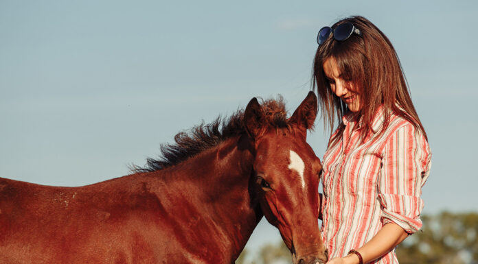A woman with an adopted orphan foal