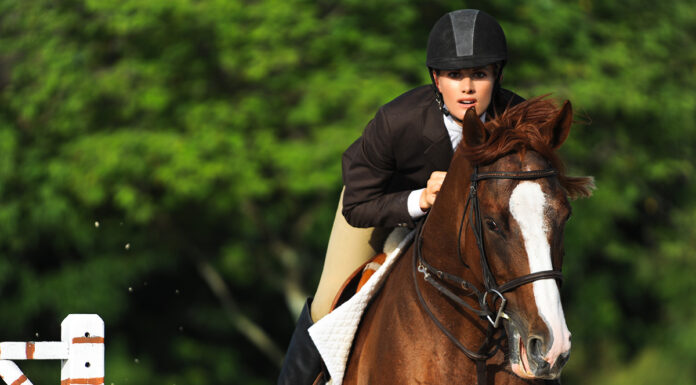 An equestrian jumps her horse, using riding advice for her best performance possible