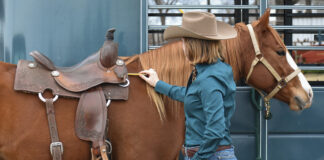 A cowgirl making sure her saddle is fitting her horse properly by using a pencil to measure the fit