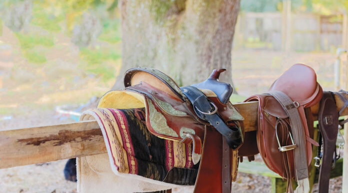 Western and English saddles for changing disciplines