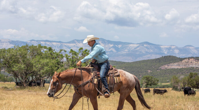 Long trot ranch riding with mountain backdrop