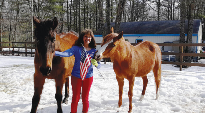 A woman with two senior horses in the snow