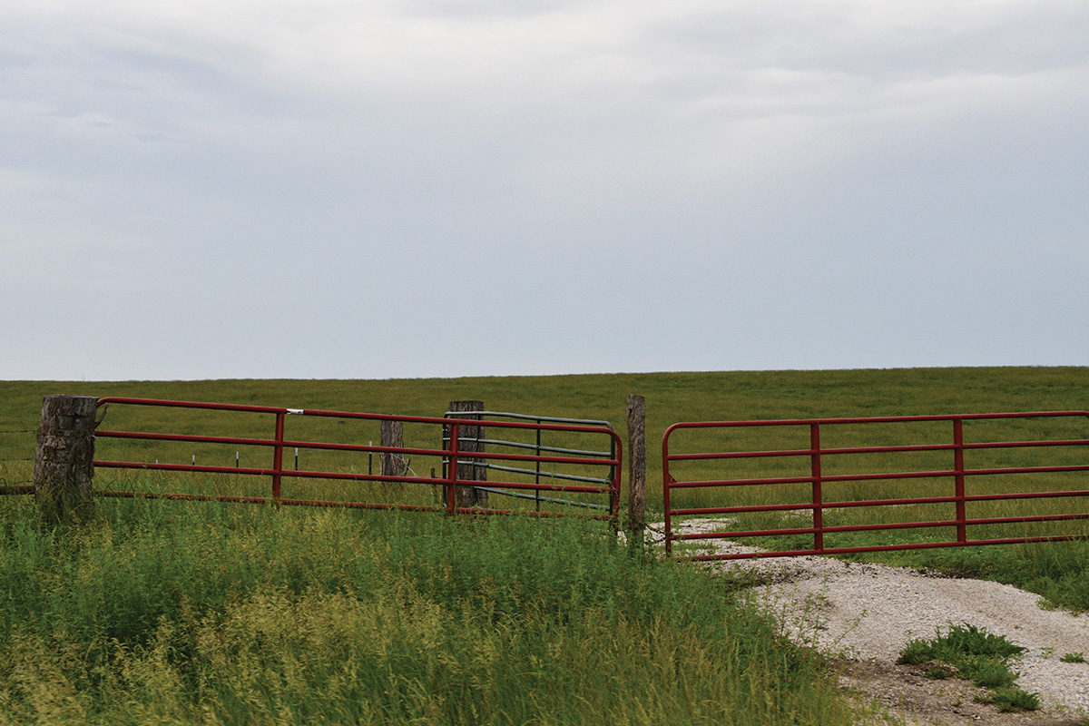 The gate to a pasture