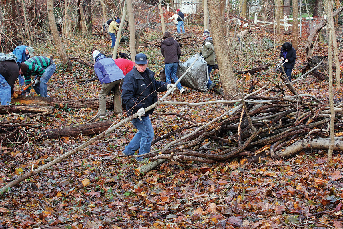 People working on maintaining trails in a forest