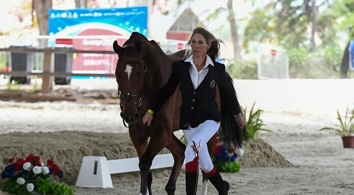 Liz Halliday jogging for eventing at the Pan American Games