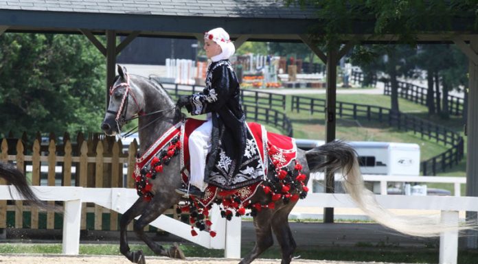 Horse and rider competing in an Arabian Native Costume Class