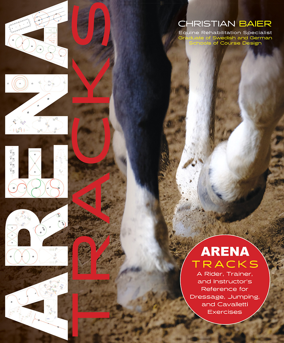 Arena Tracks book cover
