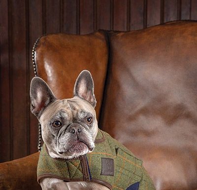 Barn Dog Gear - Shires & Digby Fox Tweed Dog Coat