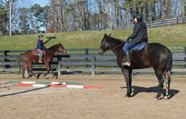 Career as a Barn Manager Teaching a Riding Student