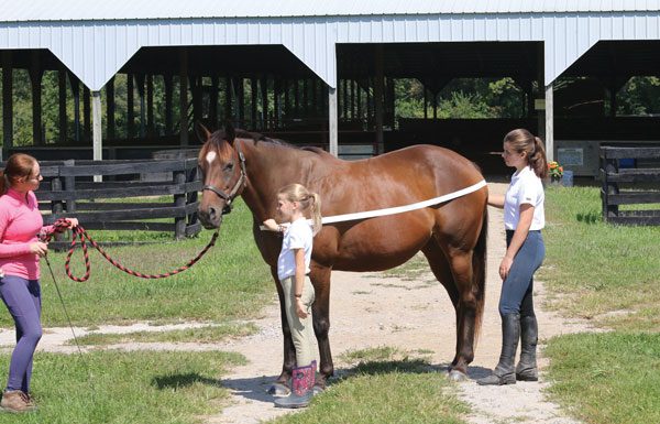 Standing by horse to prepare for blanketing.