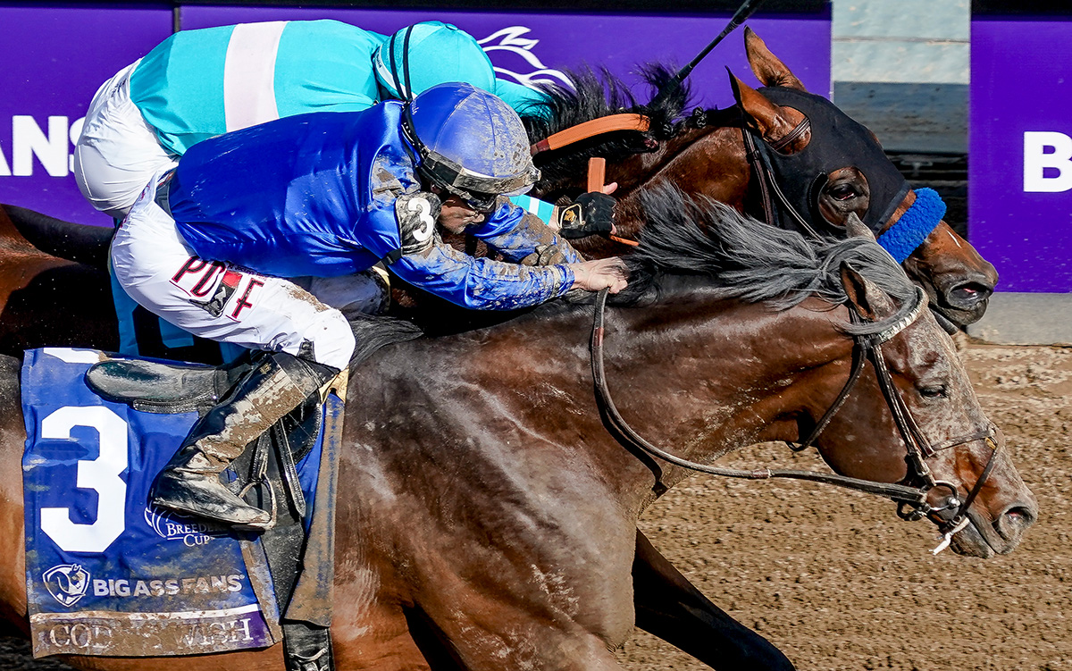Cody's Wish wins the Breeders' Cup Dirt Mile by a narrow margin