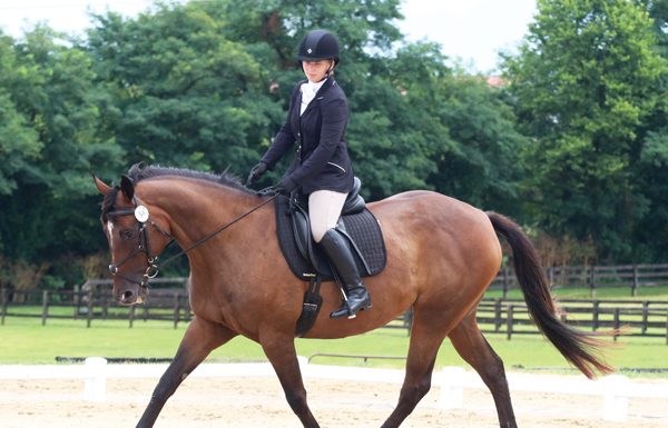 Get Started in Dressage