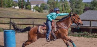 Barrel Racing Run