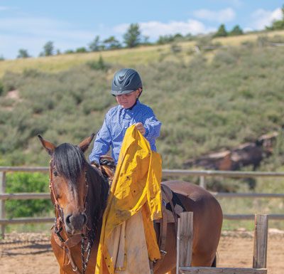 Introduce Your Horse to Rain Slicker / Jacket / Gear