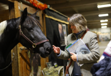 A woman greets a horse at Equine Affaire