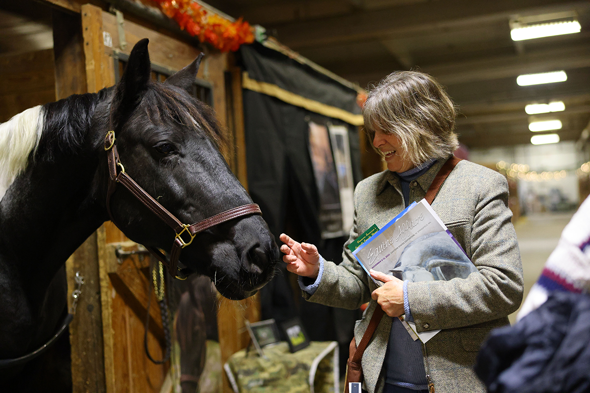 A woman greets a horse in a stall at Equine Affaire