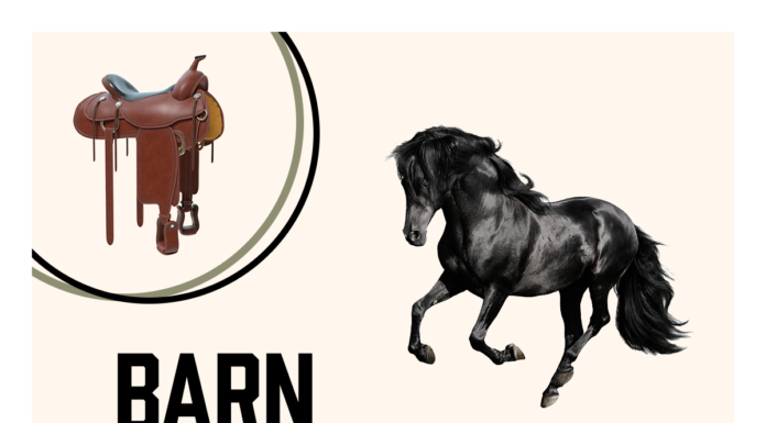 Barn Banter Podcast - Horse Illustrated