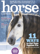 The Horse Illustrated November/December 2023 cover